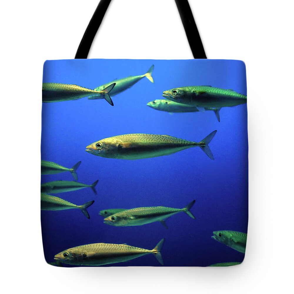 Underwater Tote Bag featuring the photograph Out Of Space by Ian Payne