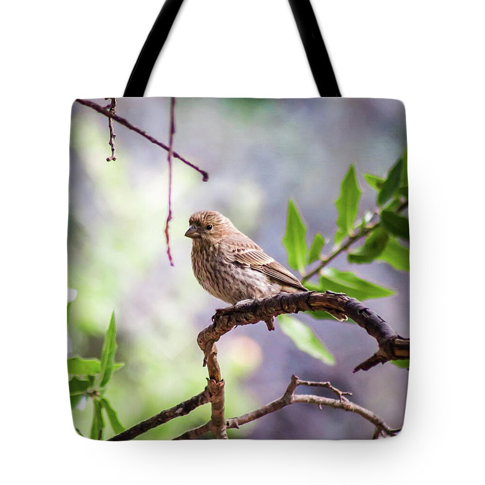2017 Tote Bag featuring the photograph Out on a Limb by KC Hulsman