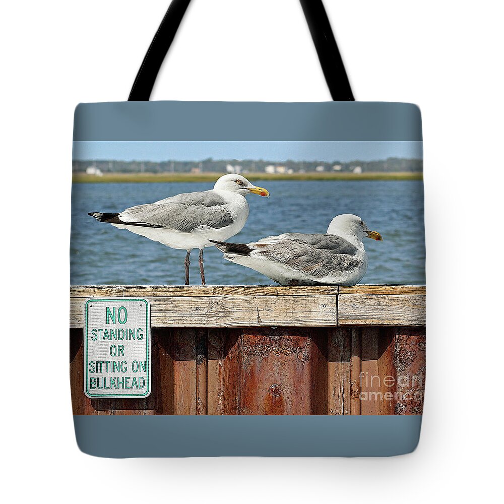 Seagulls Tote Bag featuring the photograph Lawbreakers by Geoff Crego