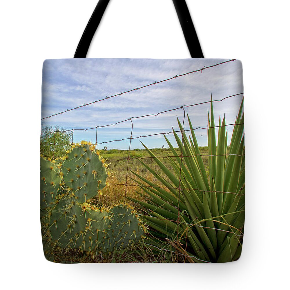 Cactus Tote Bag featuring the photograph Outside Brownsville by Robert Och