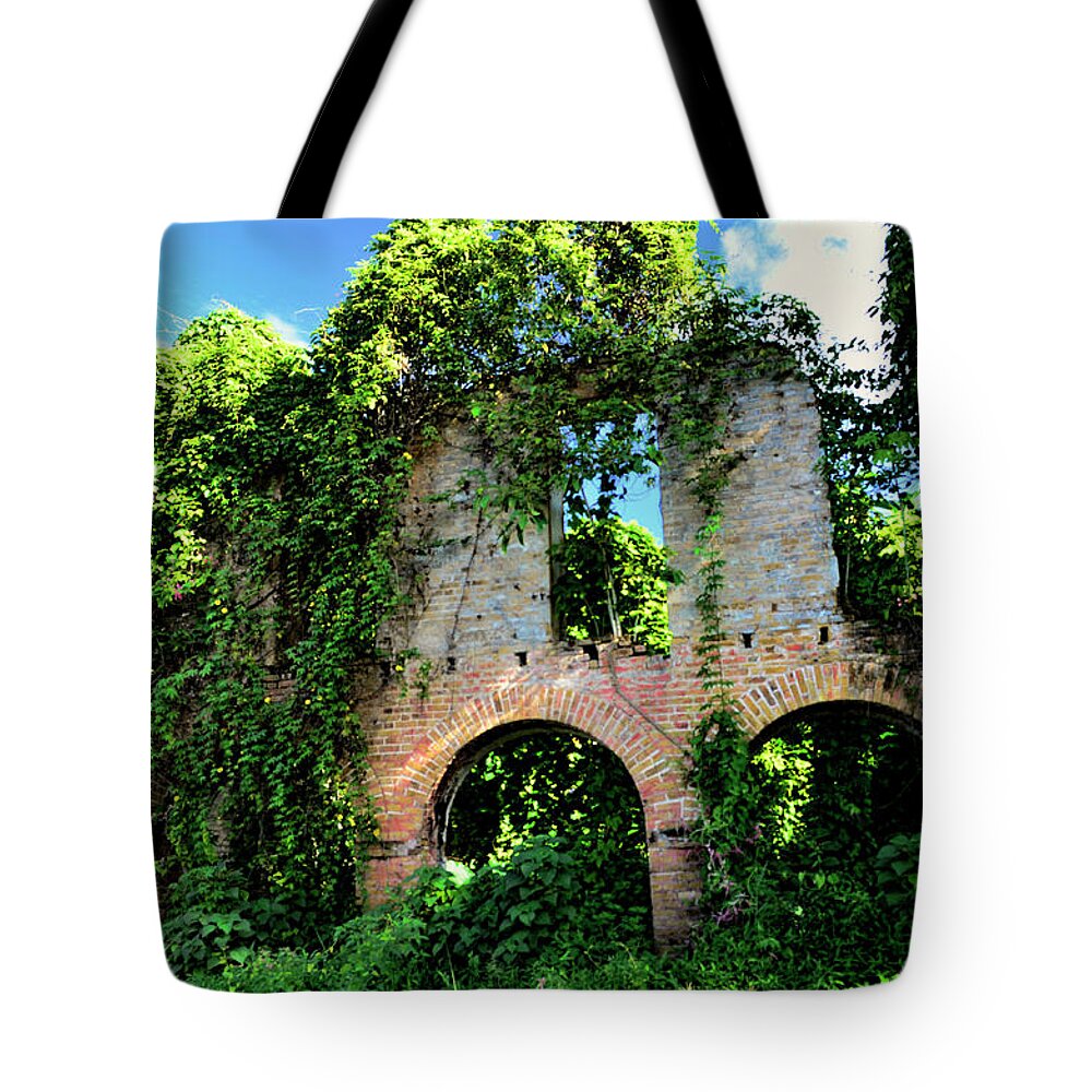 Crumbling Building Tote Bag featuring the photograph Overgrown by Segura Shaw Photography