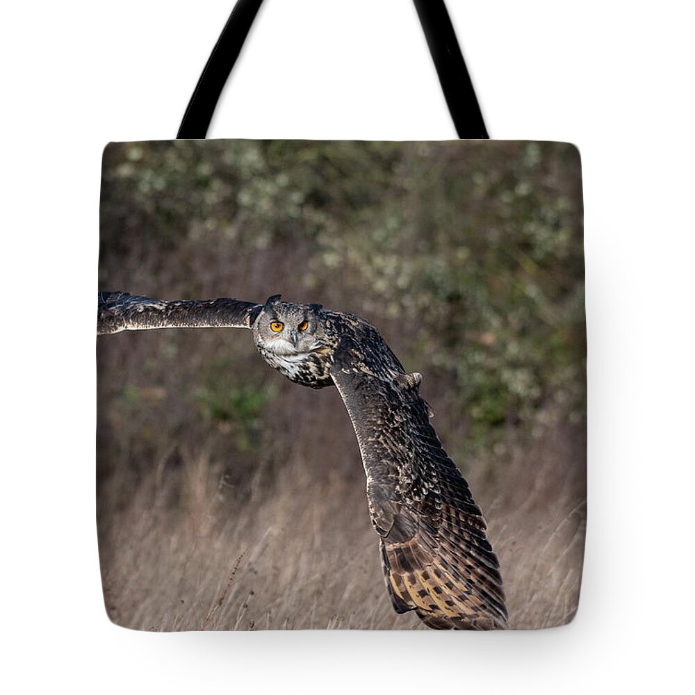 Owl Tote Bag featuring the photograph Owl Turning by Mark Hunter