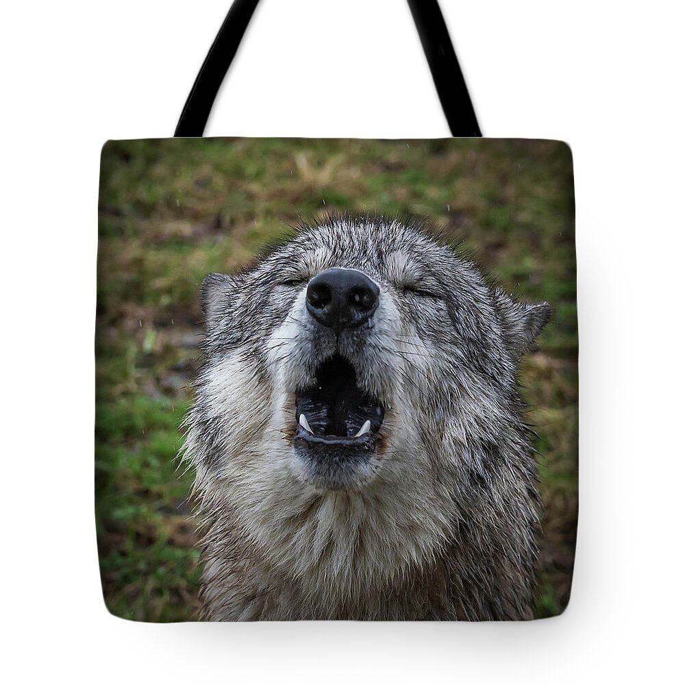 Howling Wolf Wolves Wolf Tote Bag featuring the photograph Owwwwwwwwwww by Laura Hedien