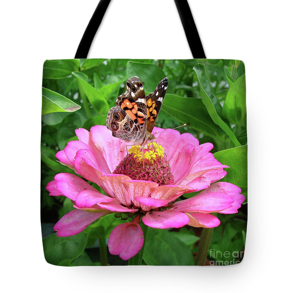 Painted Lady Tote Bag featuring the photograph Painted Lady and Zinnia 10 by Amy E Fraser
