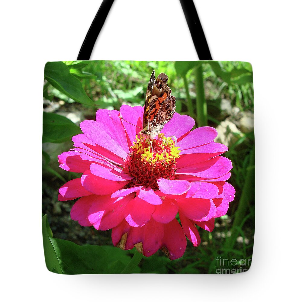 Painted Lady Tote Bag featuring the photograph Painted Lady and Zinnia 2 by Amy E Fraser