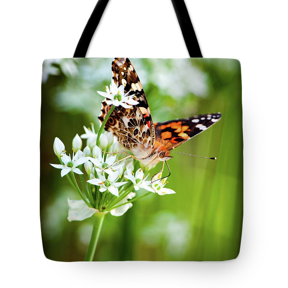 Painted Lady Tote Bag featuring the photograph Painted Lady II by Jeff Phillippi