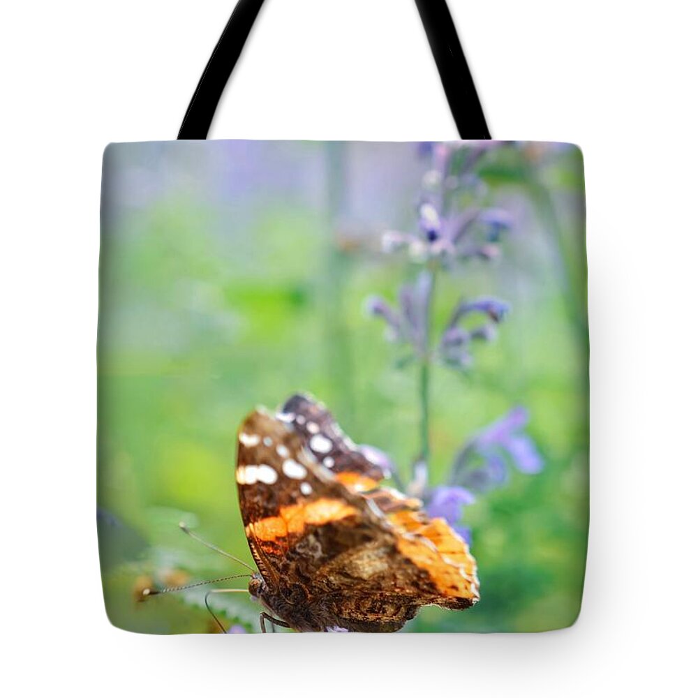 Butterfly Tote Bag featuring the photograph Painted Lady by Shannon Kelly