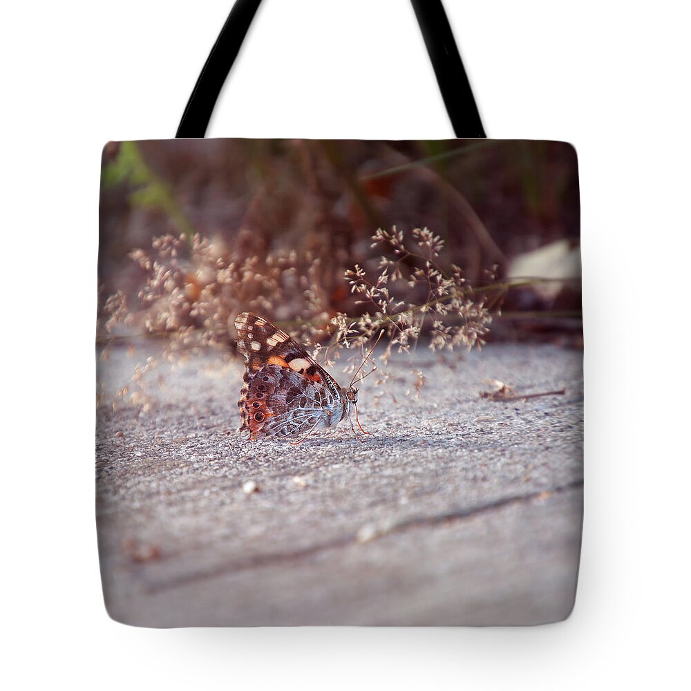 Painted-lady Tote Bag featuring the photograph Painted Lady - Vanessa Cardui by Jaroslav Buna