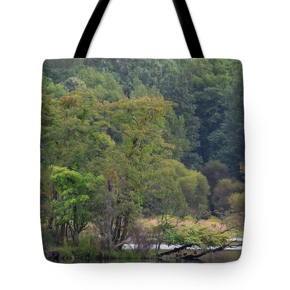Birds Tote Bag featuring the photograph Painted Mallards And Egrets by Skip Willits
