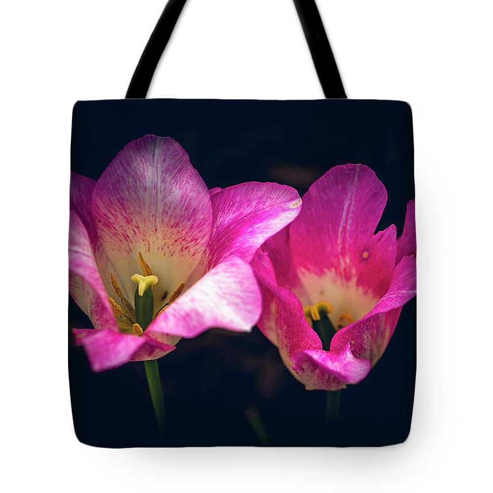 America Tote Bag featuring the photograph Paired Off by ProPeak Photography