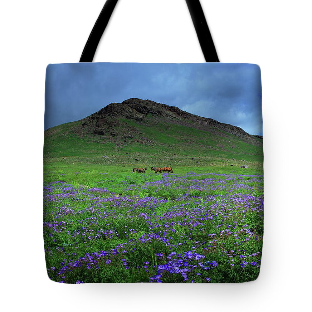 Horse Tote Bag featuring the photograph Pakistan by Nadeem Khawar