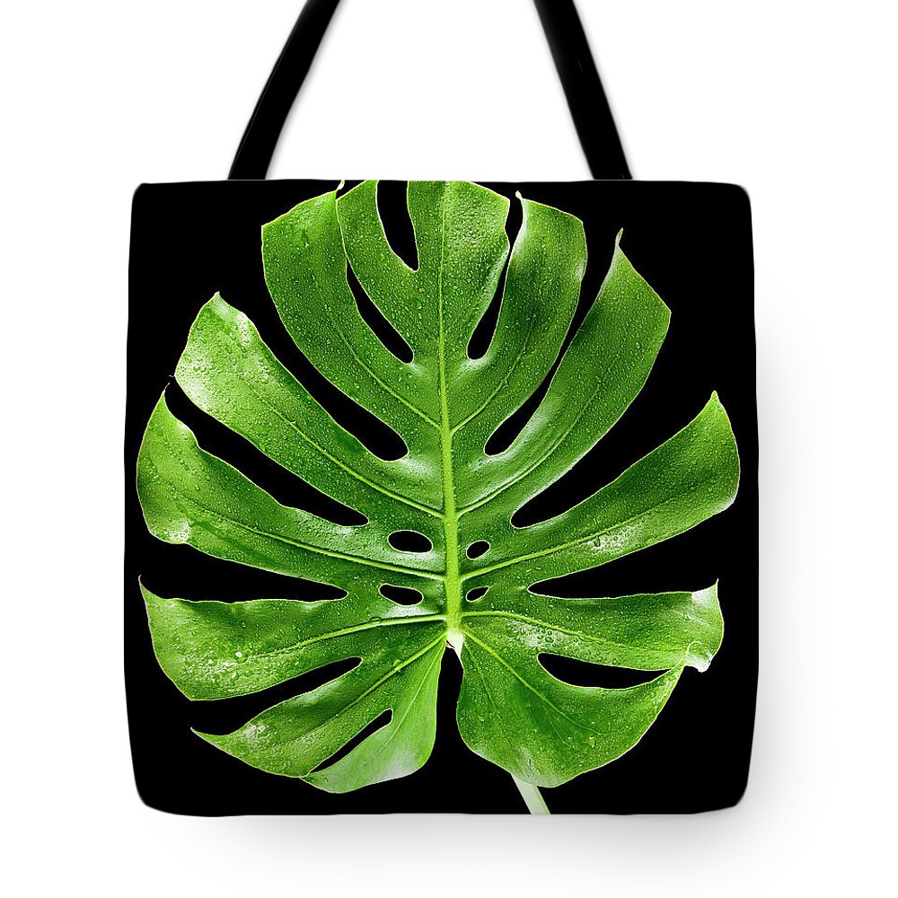 Part Of A Series Tote Bag featuring the photograph Palm Leaf On Black by Chris Stein
