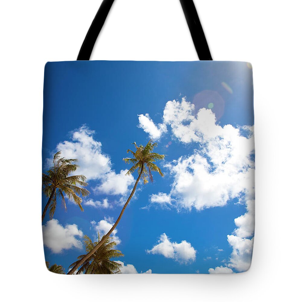 Oceania Tote Bag featuring the photograph Palm Tree And Cloudy Sky by Yasuhide Fumoto