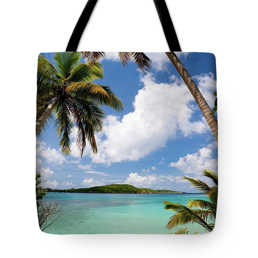 Water's Edge Tote Bag featuring the photograph Palm Trees On A Beach In The Virgin by Cdwheatley