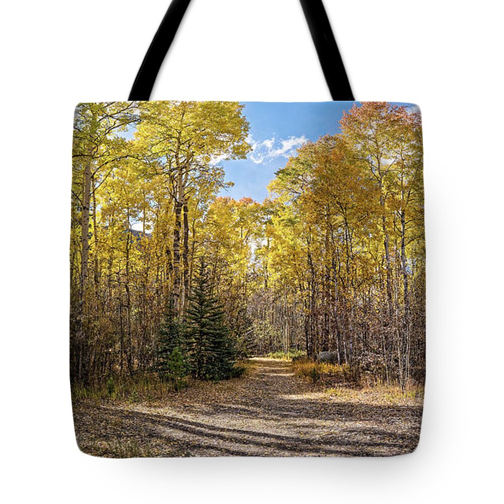 Colorado Tote Bag featuring the photograph Panorama of Yellow Aspen Forest on the Way to Independence Pass - Twin Lakes Colorado Rocky Mountain by Silvio Ligutti