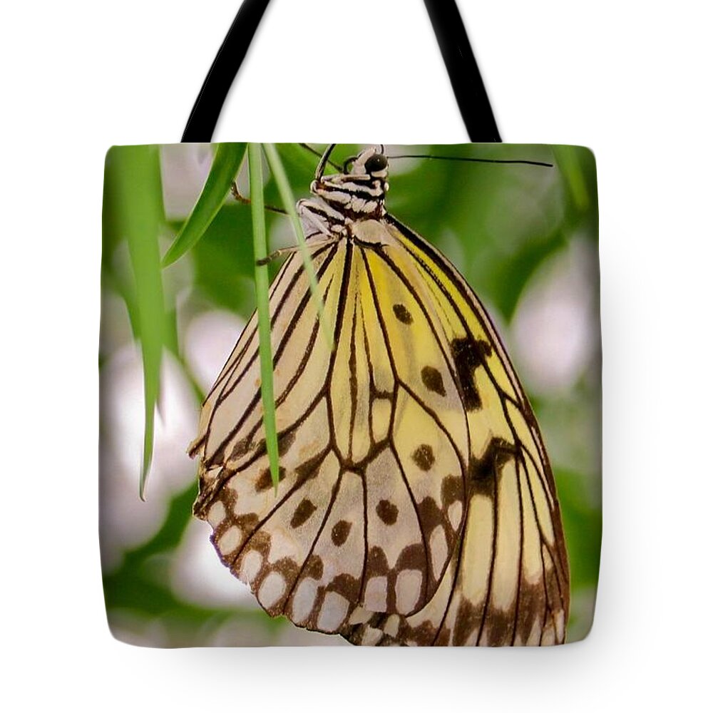 Butterfly Tote Bag featuring the photograph Paper Kite Butterfly by Susan Rydberg