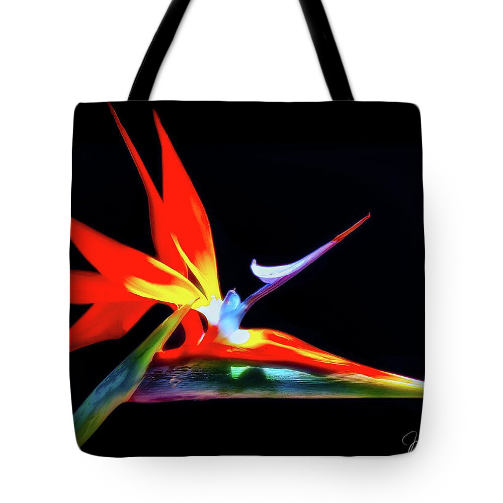 St Augustine Tote Bag featuring the photograph Paradise by Joseph Desiderio