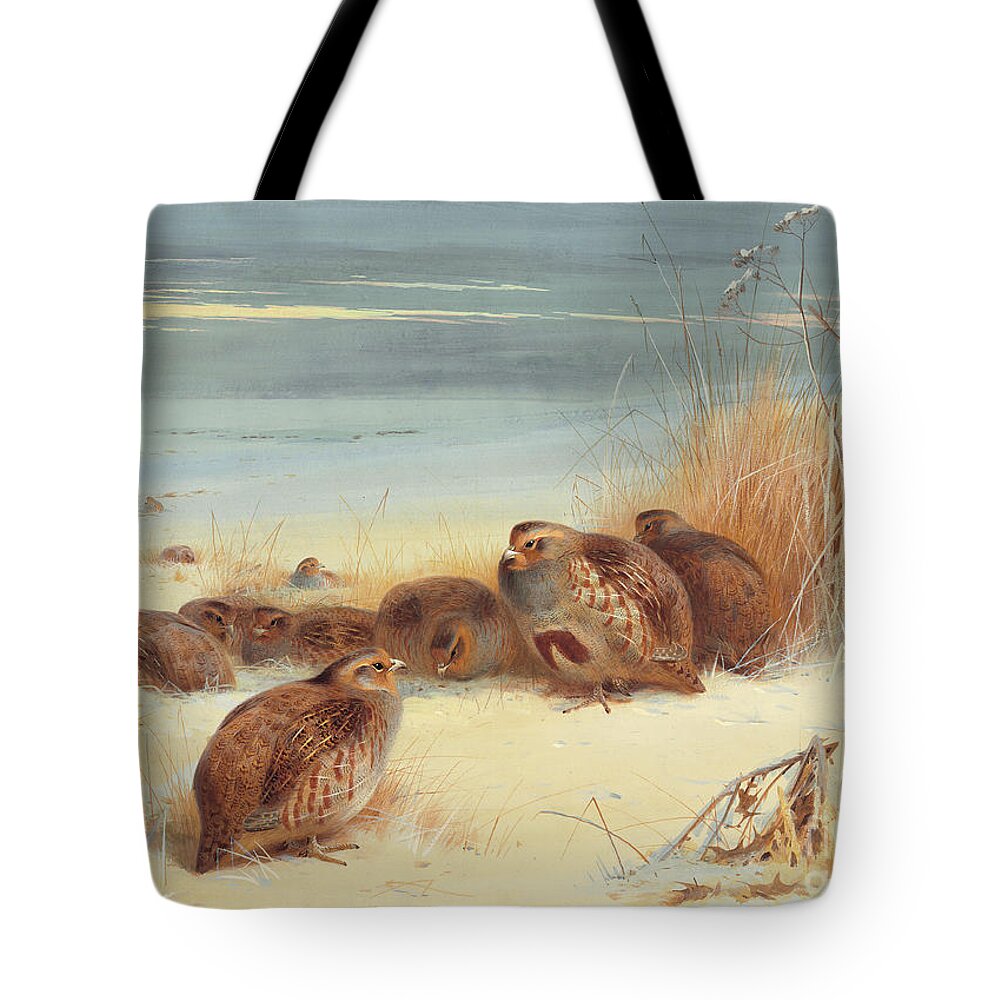 Huddle Tote Bag featuring the painting Partridge on a frosty morning, 1903 by Archibald Thorburn