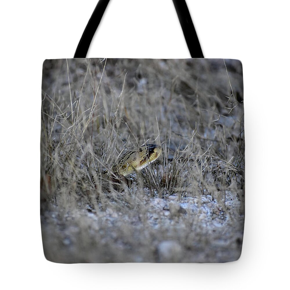 Desert Tote Bag featuring the photograph Passing Through by Melisa Elliott