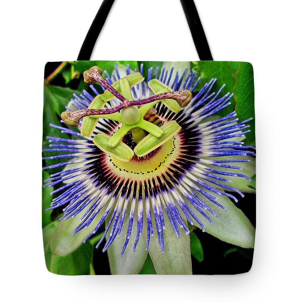 Passion Flower Tote Bag featuring the photograph Passion Flower Bee Delight by Allen Nice-Webb