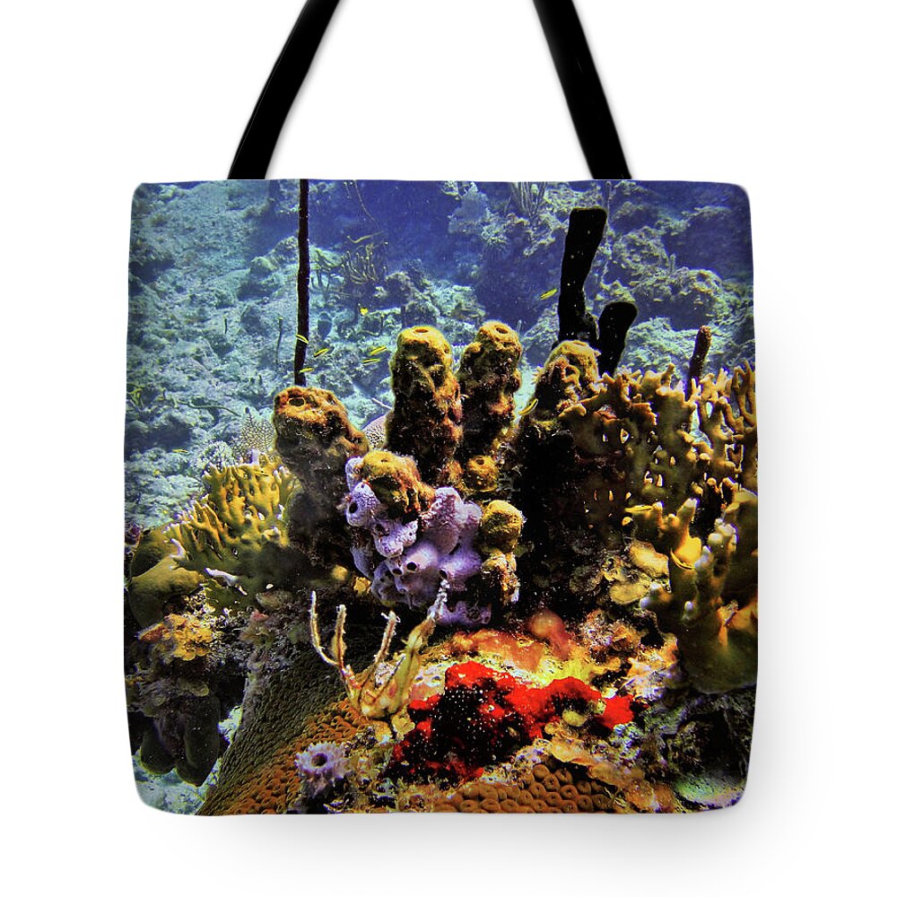 Coral Tote Bag featuring the photograph Patch Reef Bluff by Climate Change VI - Sales