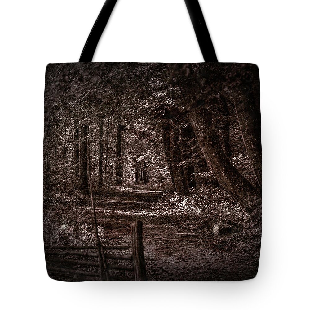 Path In Forest Tote Bag featuring the photograph Path In Forest #i0 by Leif Sohlman