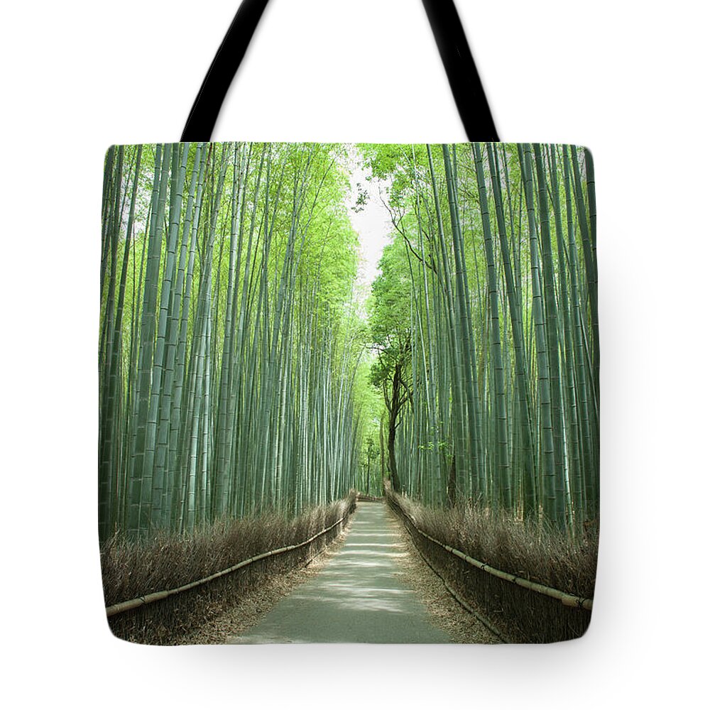 Tranquility Tote Bag featuring the photograph Path In Giant Bamboo Grove, Kyoto, Japan by Ippei Naoi