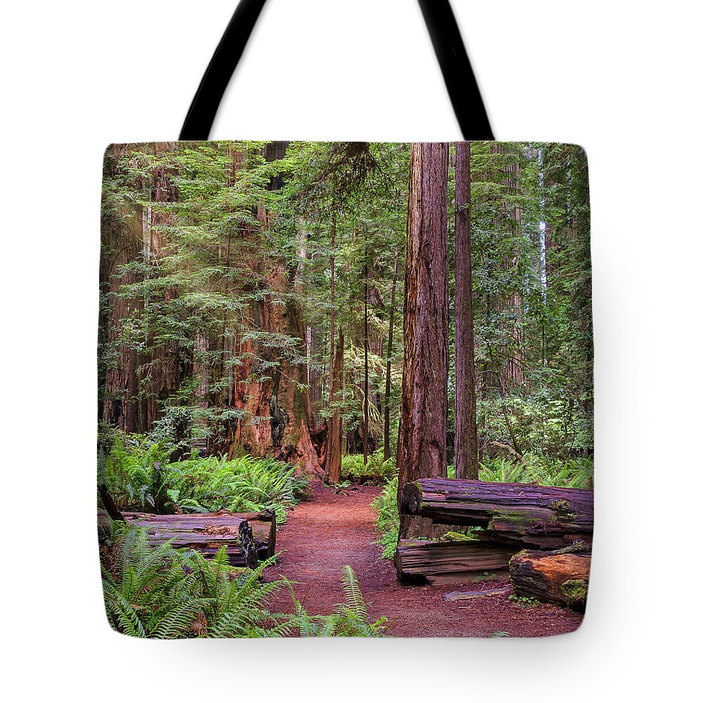 California Tote Bag featuring the photograph Path in Giant Redwoods by Doug Holck