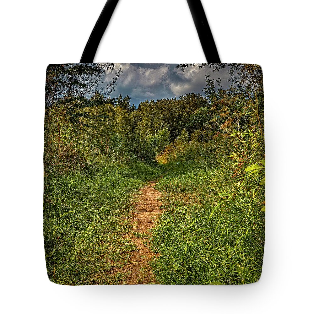 Path In Greenary Tote Bag featuring the photograph Path In Greenary #i0 by Leif Sohlman