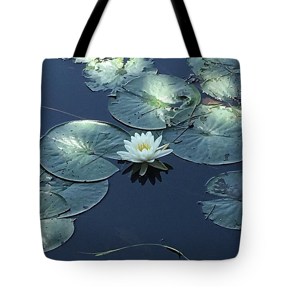 Nature Tote Bag featuring the photograph Peace in the Present by Anjel B Hartwell
