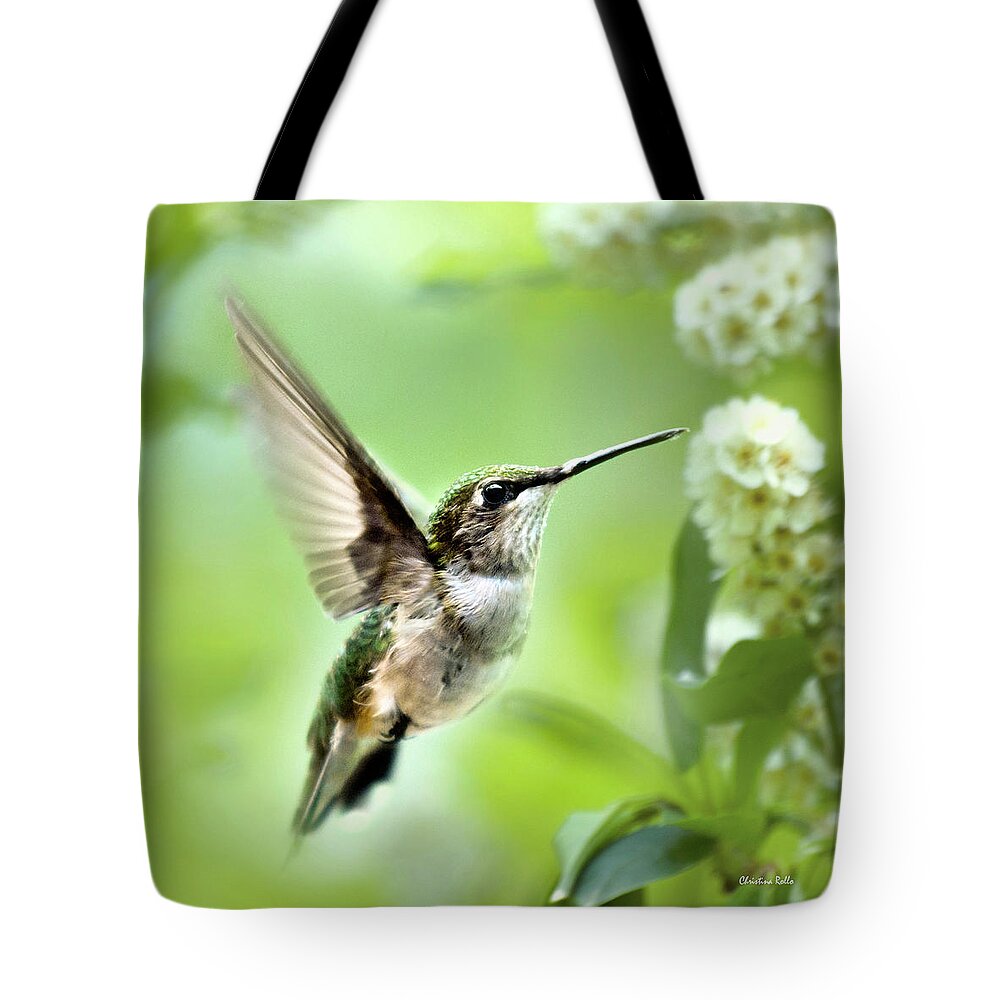 Hummingbirds Tote Bag featuring the photograph Peaceful Love Hummingbird Square by Christina Rollo