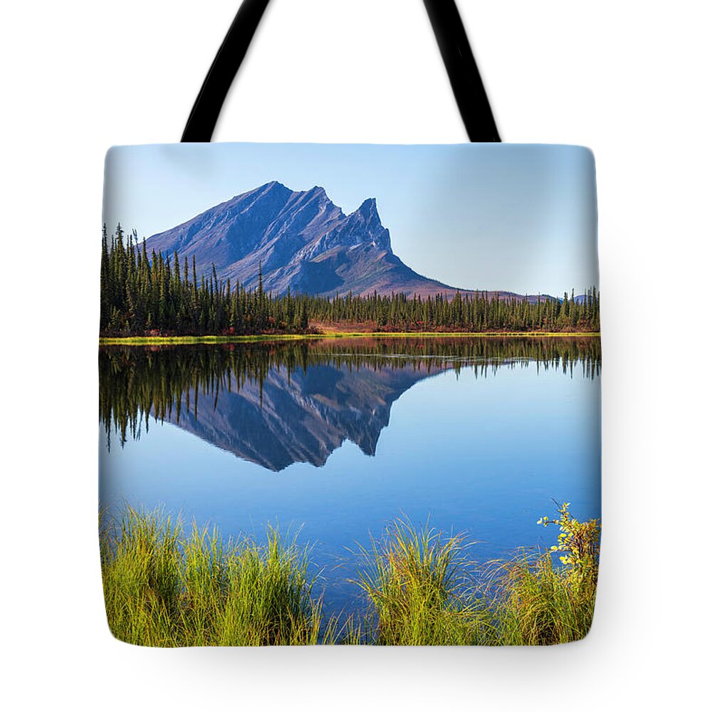 Peaceful Tote Bag featuring the photograph Peaceful Morning by Chad Dutson