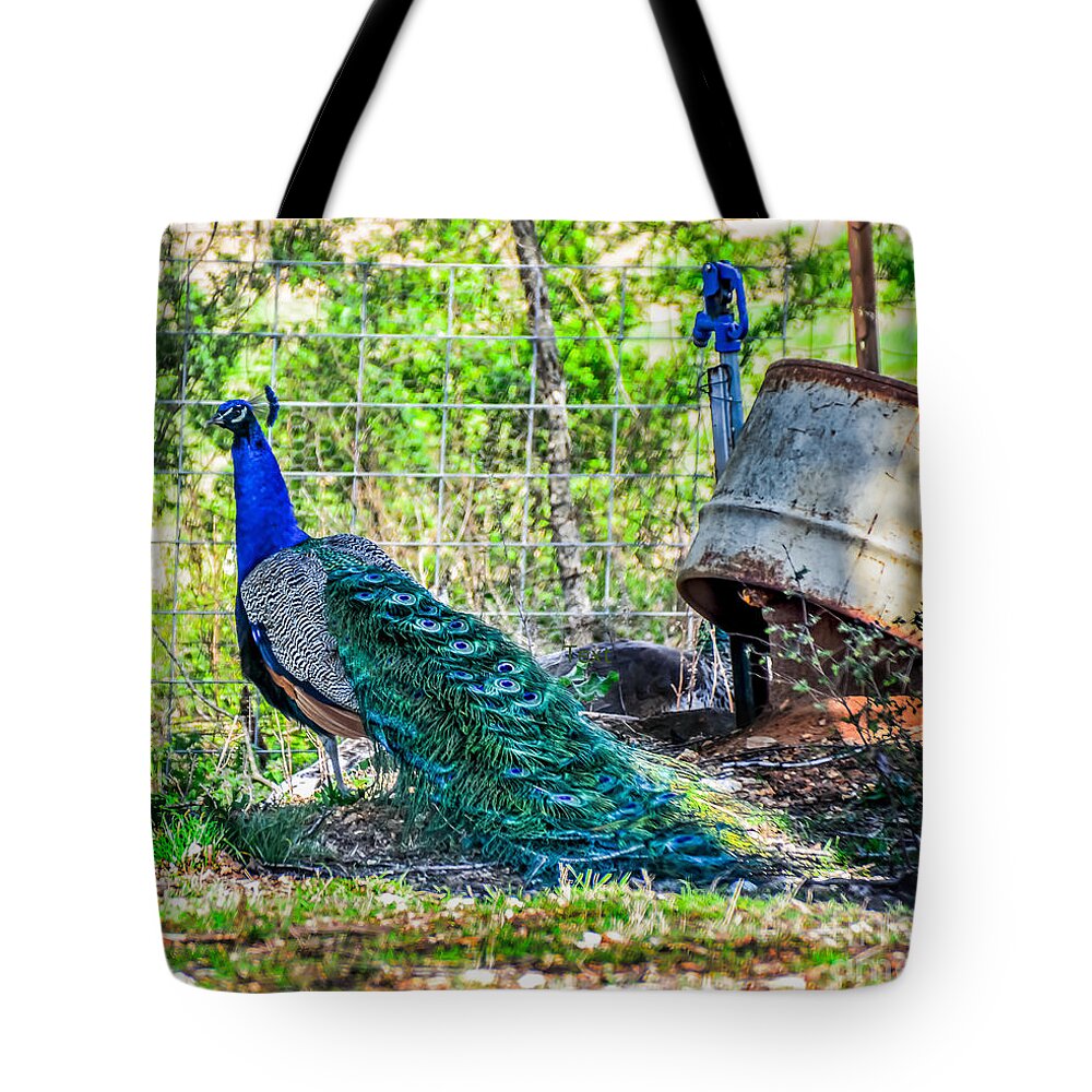 Peacock Tote Bag featuring the photograph Peacocks by Peggy Franz