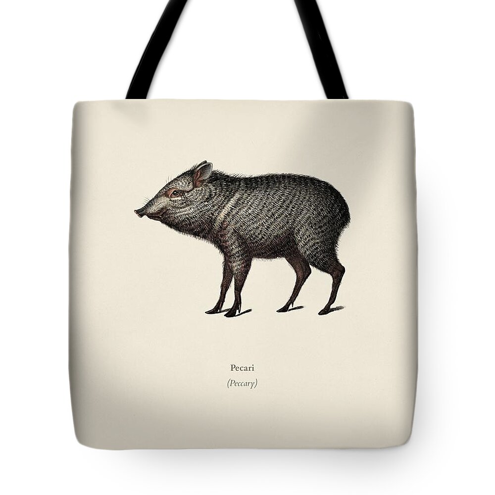Animal Tote Bag featuring the painting Pecari illustrated by Charles Dessalines D' Orbigny 1806-1876 by Celestial Images
