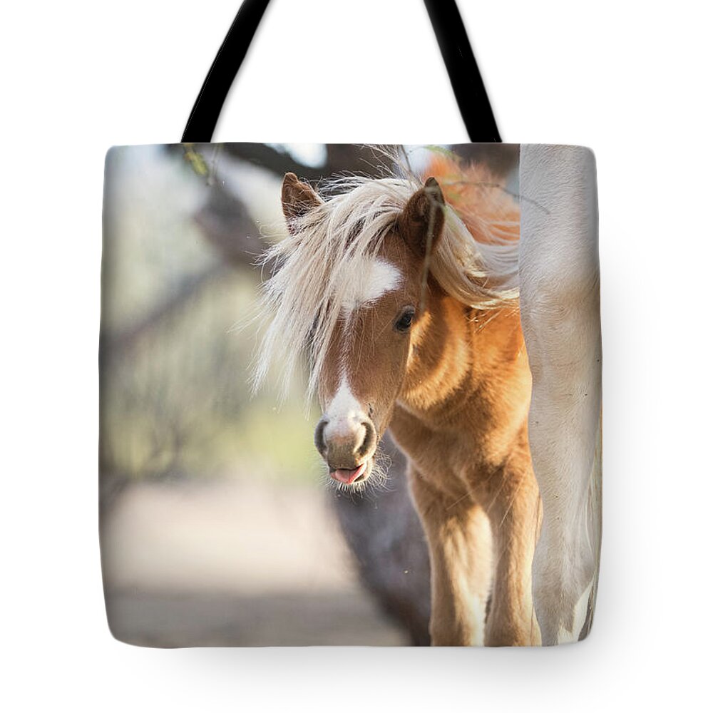 Cute Tote Bag featuring the photograph Peek-A-Boo 2 by Shannon Hastings