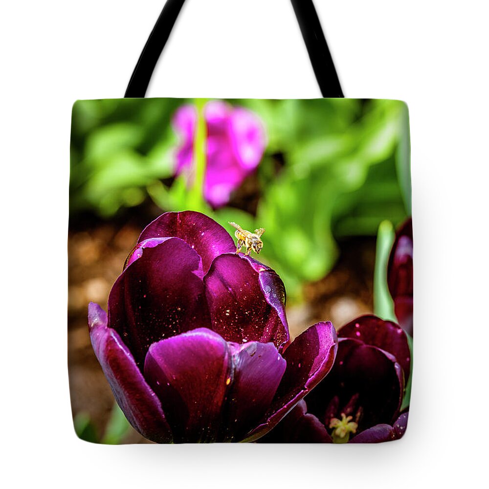 America Tote Bag featuring the photograph Peering into the Deep by ProPeak Photography