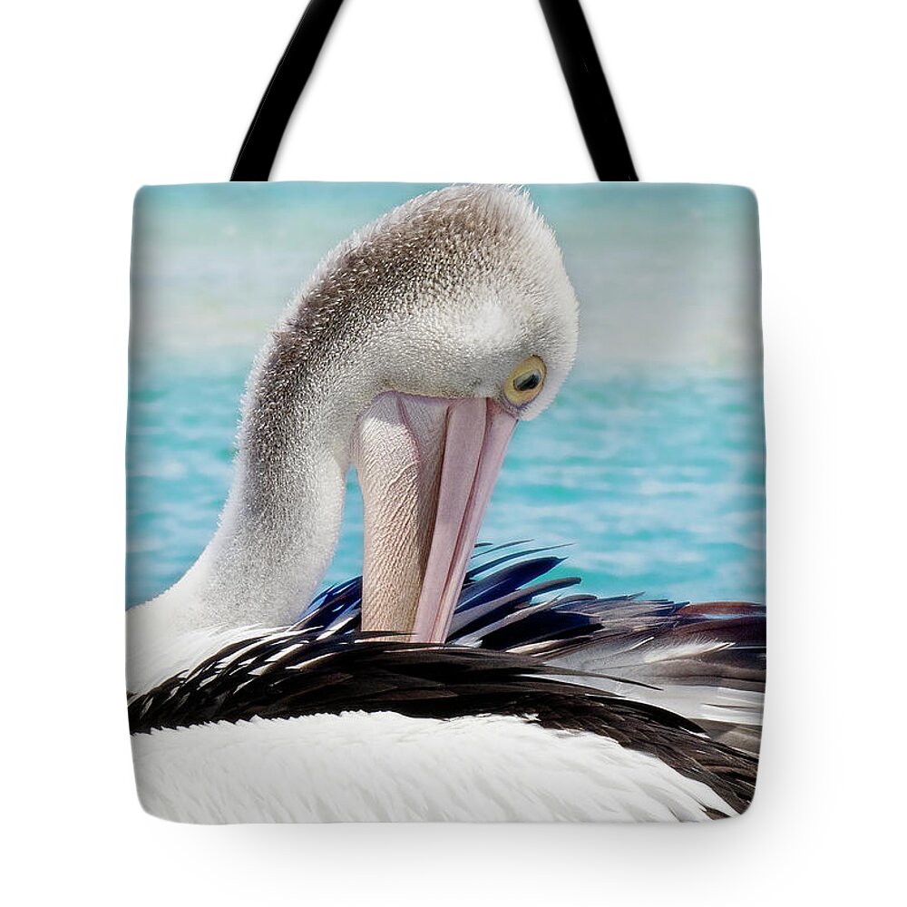 Pelicans Tote Bag featuring the digital art Pelican beauty 99920 by Kevin Chippindall