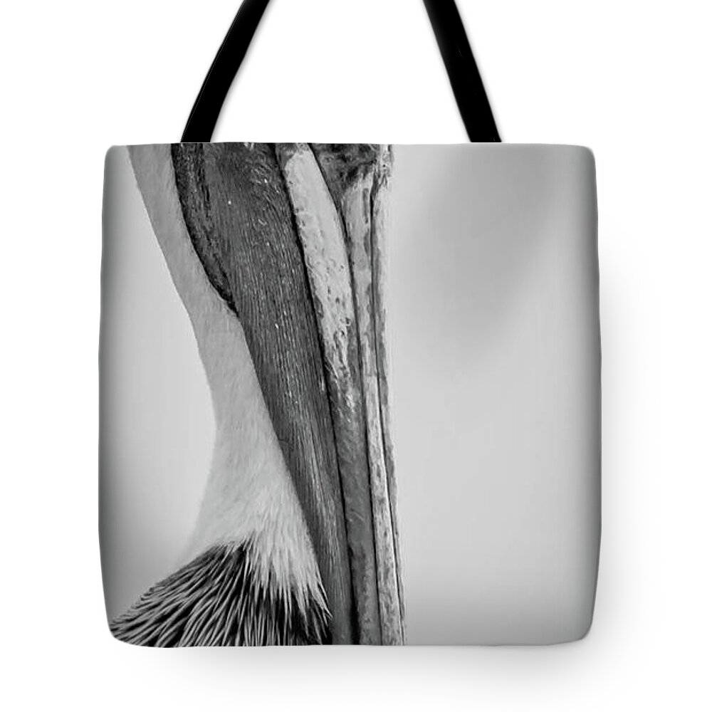 Black & White Tote Bag featuring the photograph Pelican Portrait by Debra Kewley