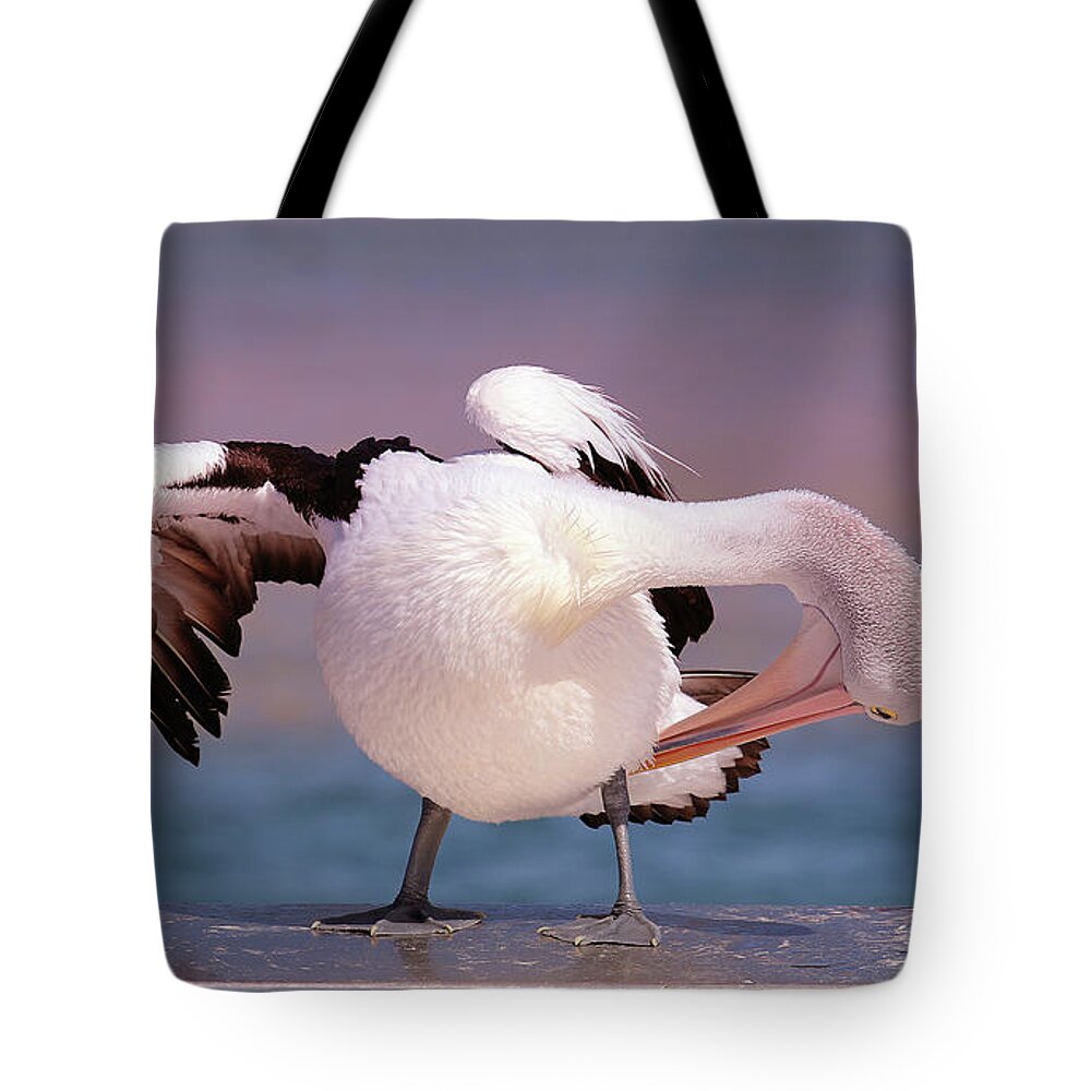 Pelicans Tote Bag featuring the digital art Pelican show off 05 by Kevin Chippindall