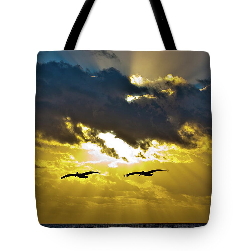 Sunsets Tote Bag featuring the photograph Pelicans on the Bay by Edgar Estrada