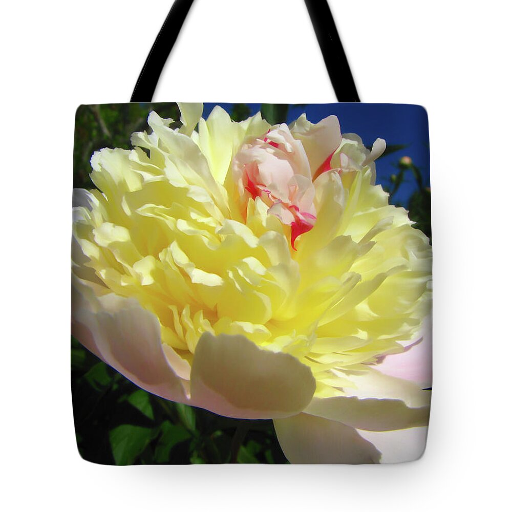 Summer Tote Bag featuring the photograph Peony by Susan Hope Finley