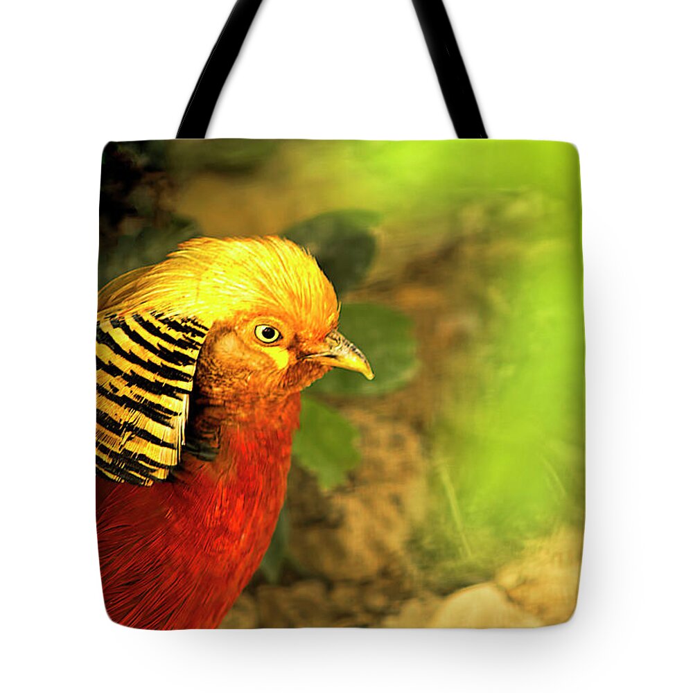 Golden Pheasant Tote Bag featuring the photograph Pharaoh by Gaye Bentham
