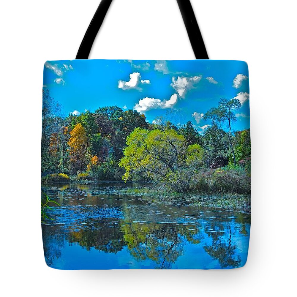 Landscape Tote Bag featuring the photograph Feeling Blue by Marty Klar