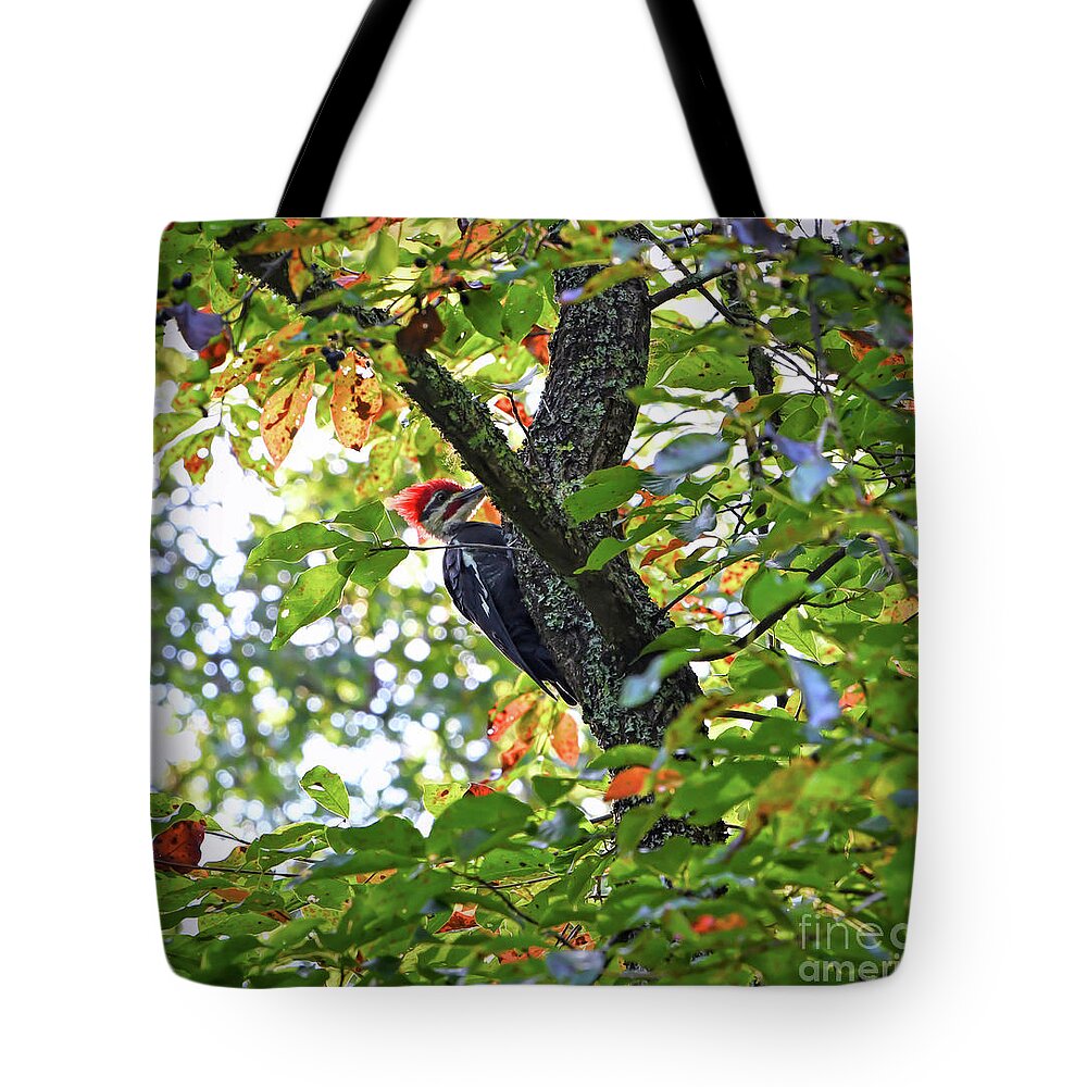 Pileated Woodpecker Tote Bag featuring the photograph Pileated Woodpecker by Kerri Farley