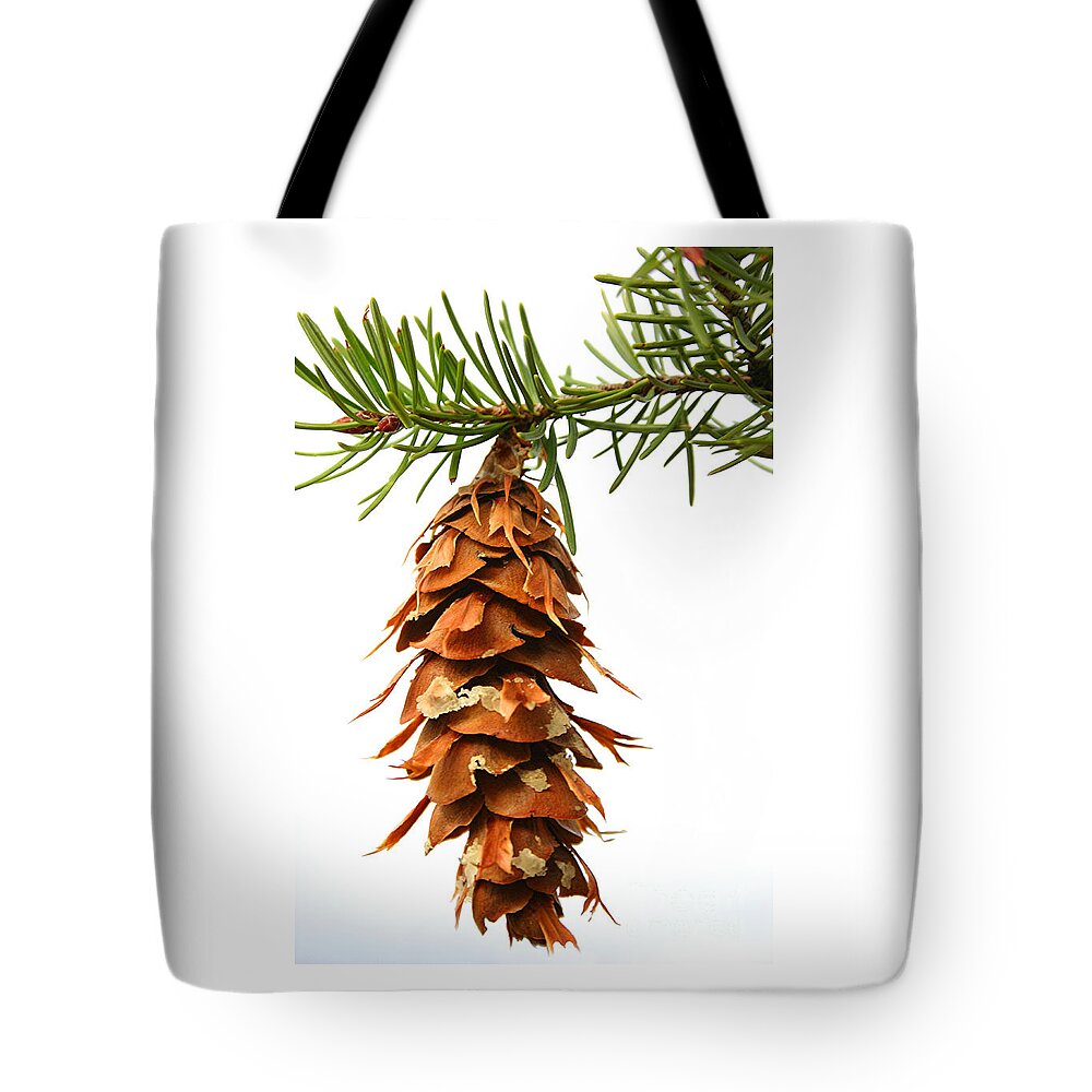 Douglas Fir Tote Bag featuring the photograph Pine cone sap tree branch by Robert C Paulson Jr
