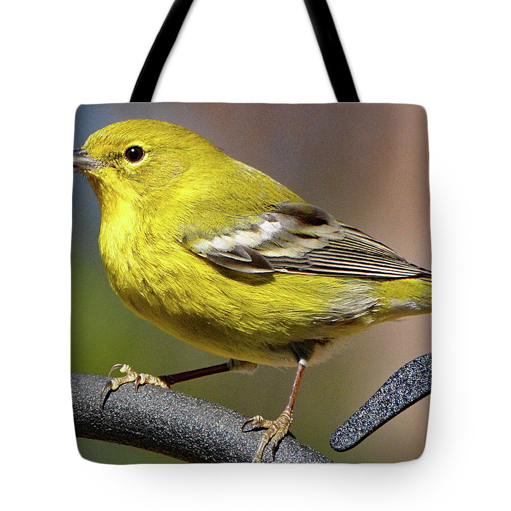 Pine Warbler Tote Bag featuring the photograph Pine Warbler by Jerry Griffin