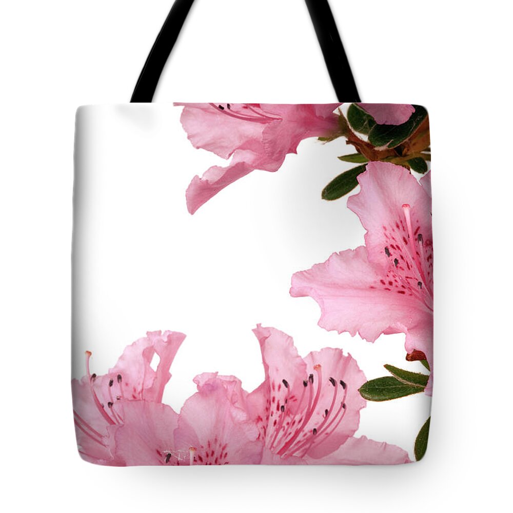 White Background Tote Bag featuring the photograph Pink Azalea On White Backgrounds by Fesoj