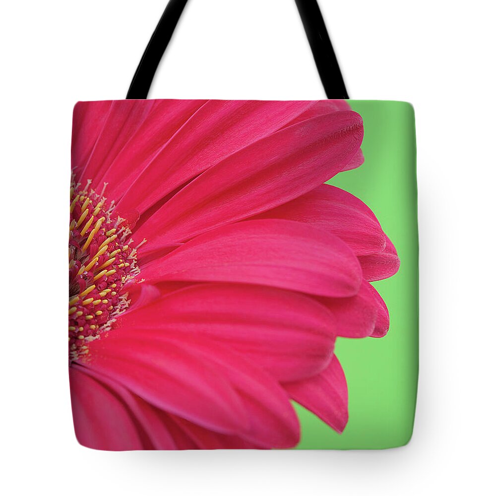 Petal Tote Bag featuring the photograph Pink Gerbera by Kim Haddon Photography
