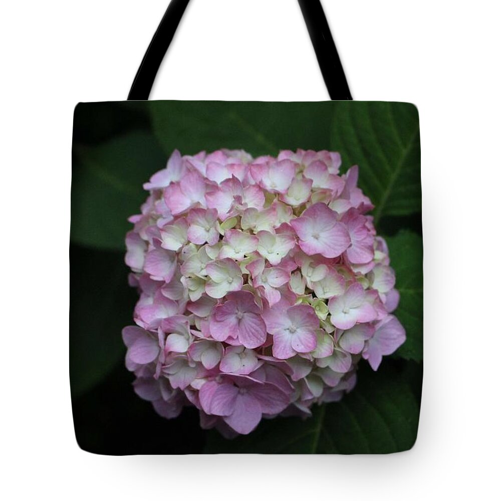 Pink Tote Bag featuring the photograph Pink Hydrangea by Christopher Lotito