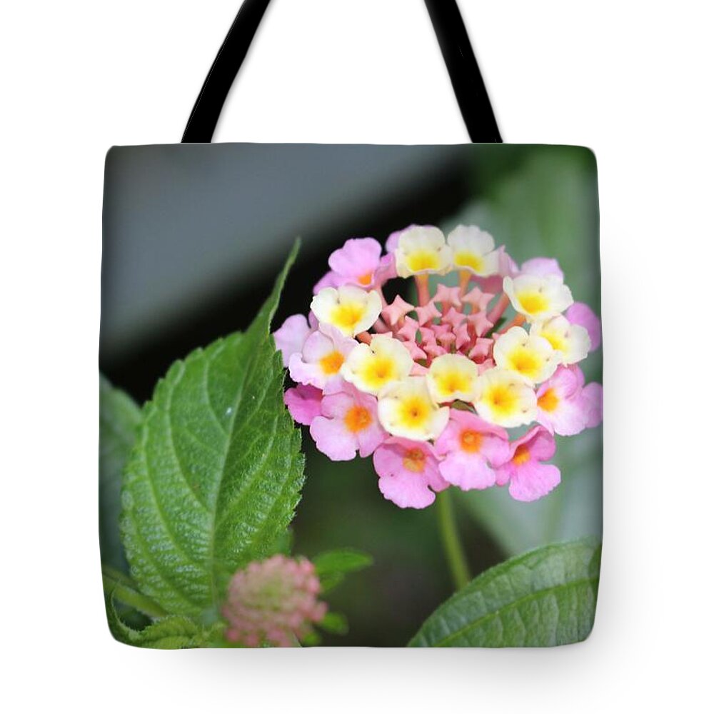 Pink Tote Bag featuring the photograph Pink Lantana by Christopher Lotito